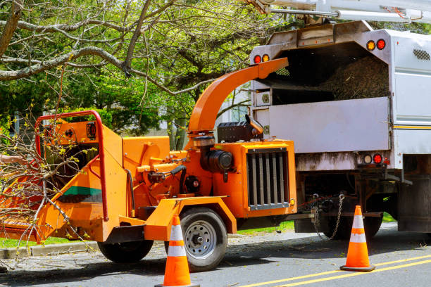 Best Utility Line Clearance  in Monaca, PA